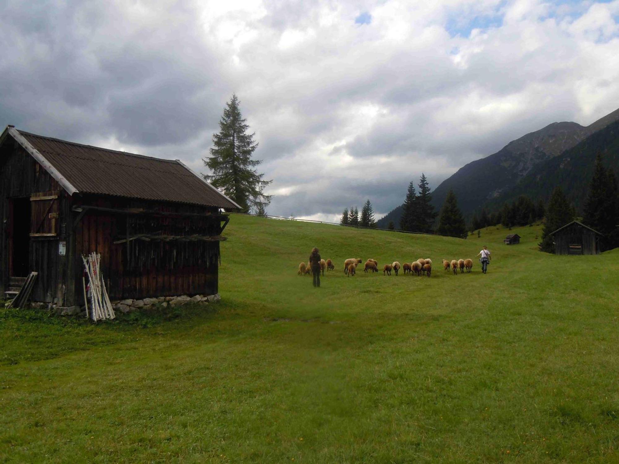 Rimmlhof & Rimmlstube Hotel Berwang Bagian luar foto